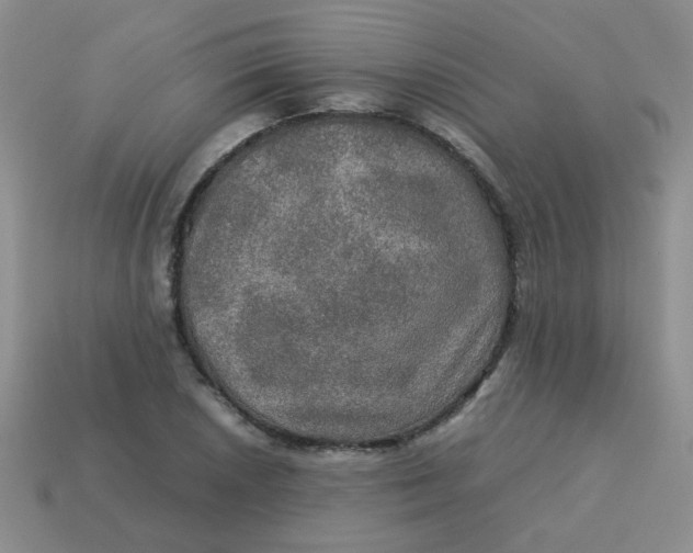 X0000113601026200910091516