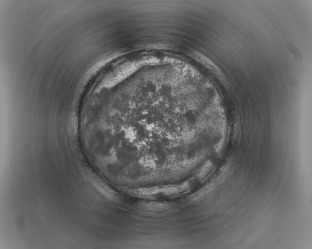 X0000113601027200910091516