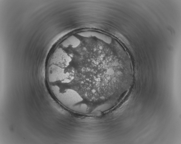 X0000113601028200910091516