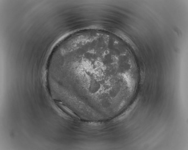 X0000113601029200910091516