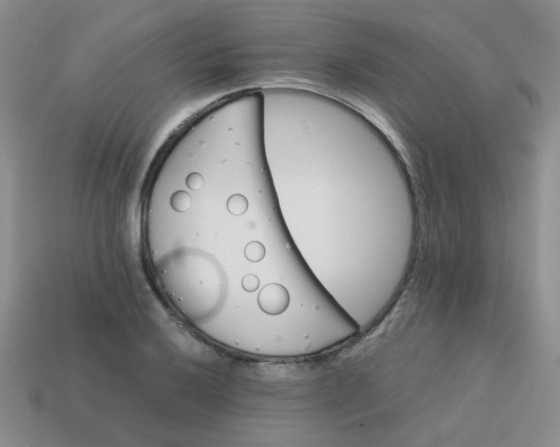 X0000113601032200910091516