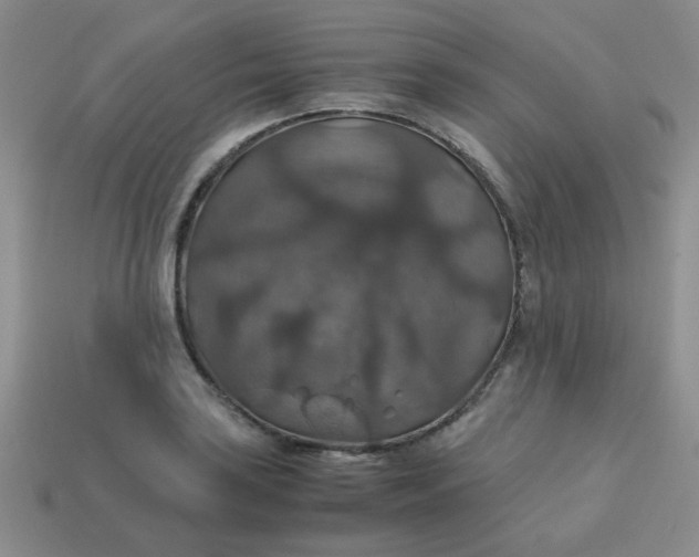 X0000113601035200910091516