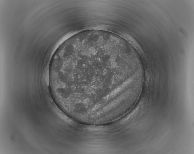 X0000113601036200910091516