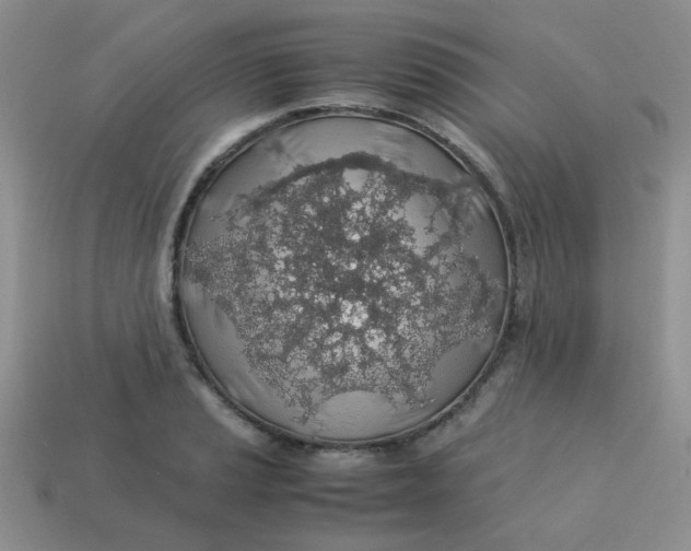 X0000113601037200910091516