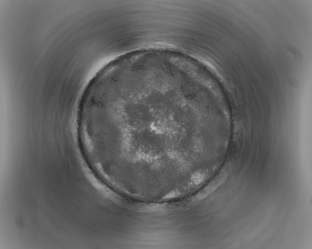 X0000113601038200910091516