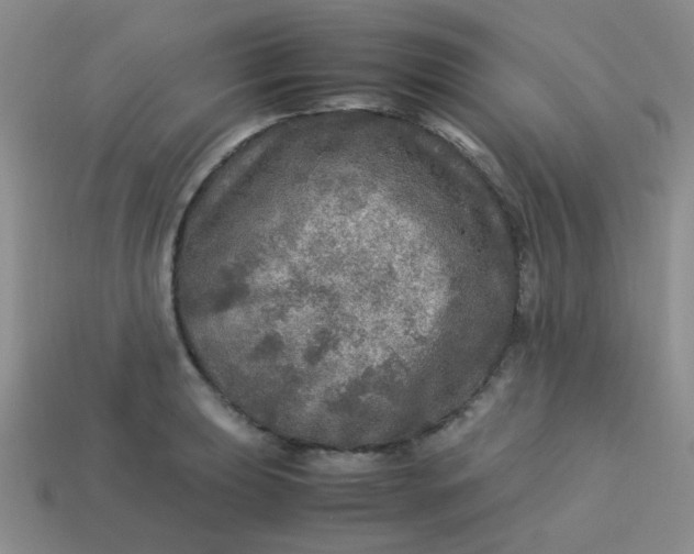 X0000113601039200910091517