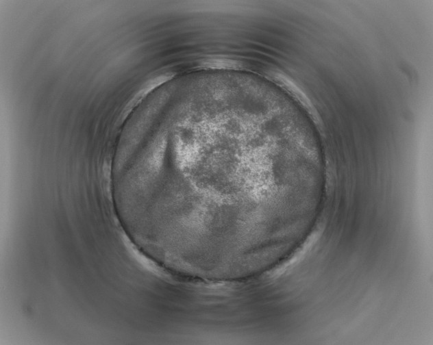 X0000113601041200910091517