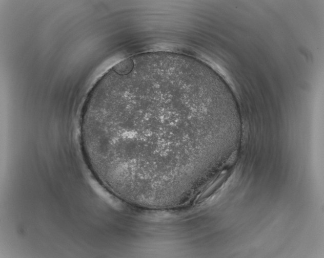 X0000113601042200910091517