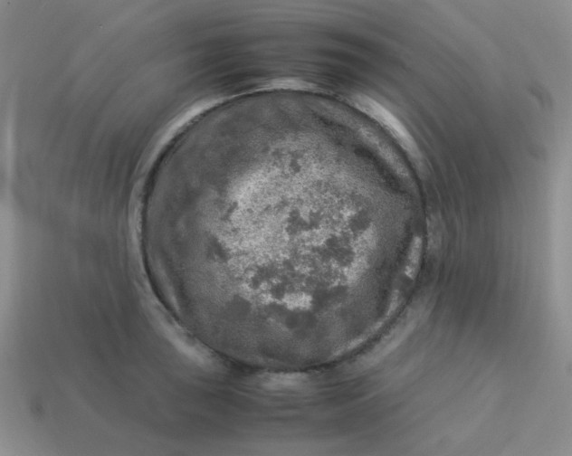 X0000113601043200910091517