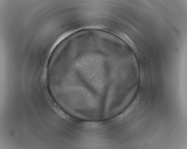 X0000113601044200910091517