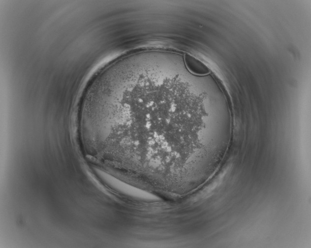 X0000113601045200910091517