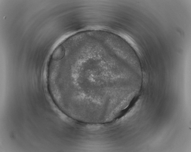 X0000113601046200910091517