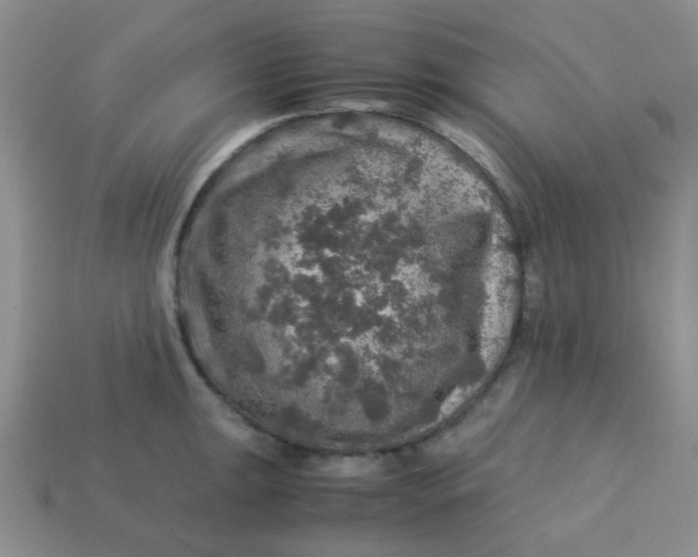 X0000113601047200910091517