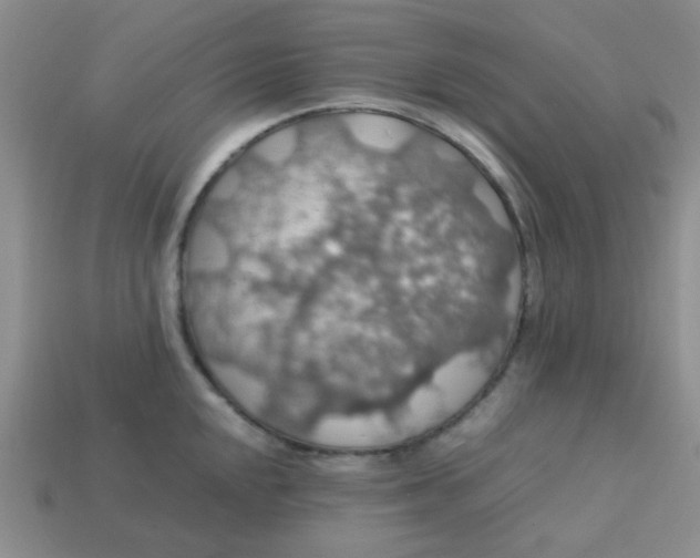 X0000113601048200910091517