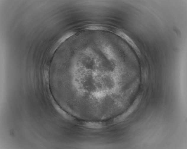 X0000113601049200910091517