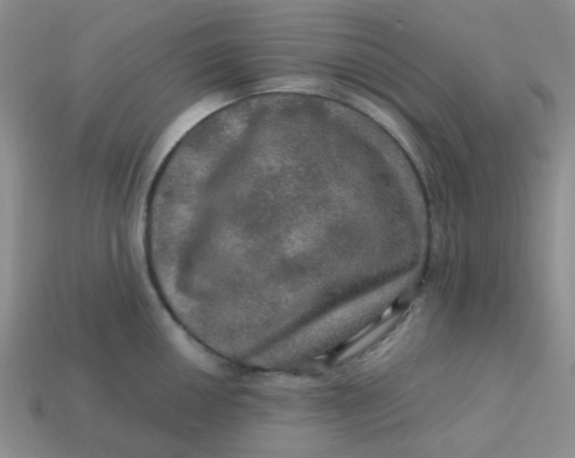 X0000113601050200910091517