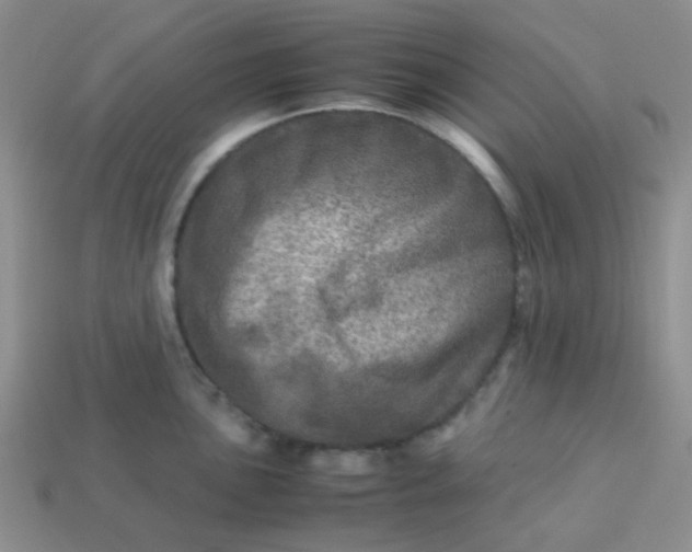 X0000113601051200910091517