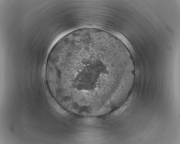 X0000113601052200910091517