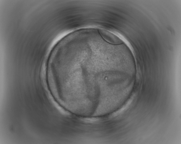 X0000113601053200910091517