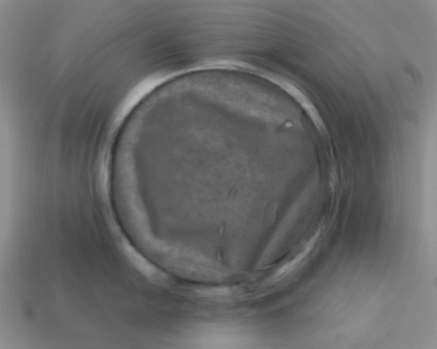 X0000113601054200910091517