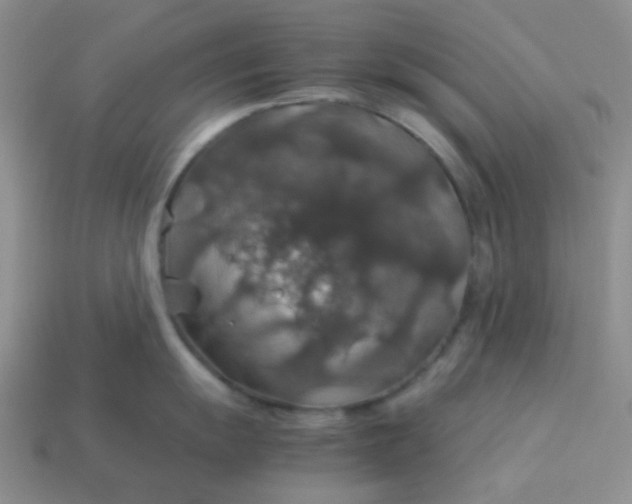 X0000113601055200910091517