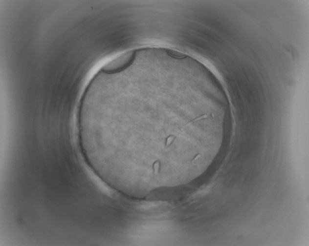 X0000113601056200910091517