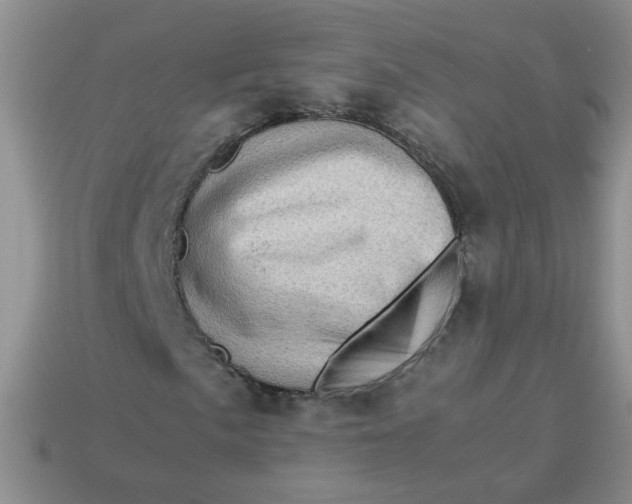 X0000113601057200910091516