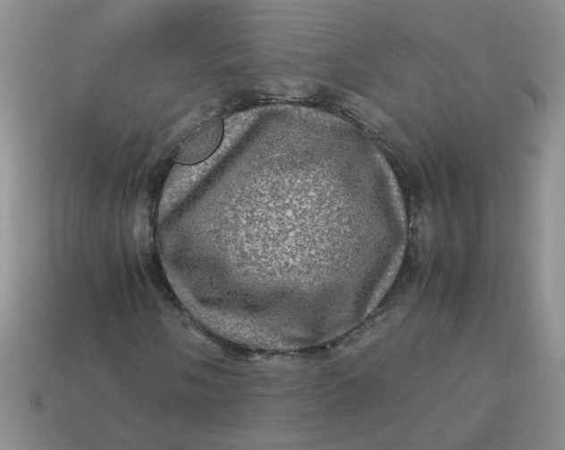 X0000113601058200910091516