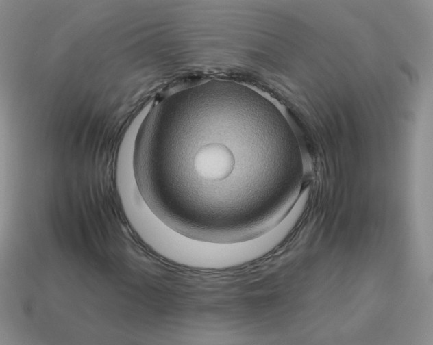 X0000113601060200910091516