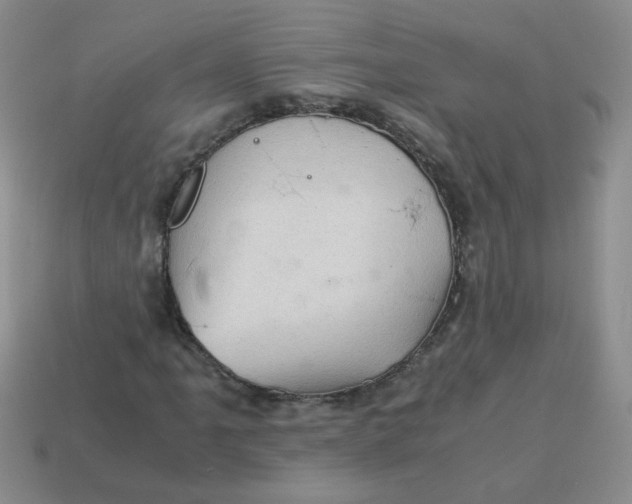 X0000113601061200910091516