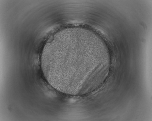 X0000113601062200910091516