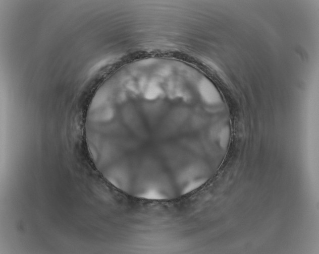 X0000113601063200910091516