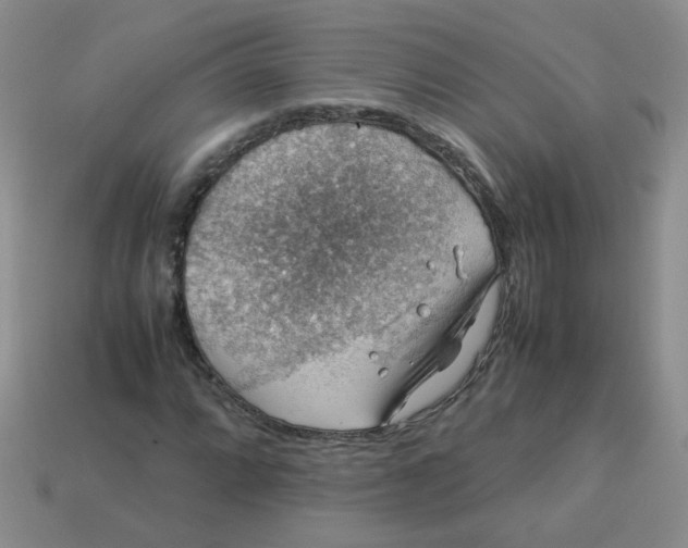 X0000113601064200910091516