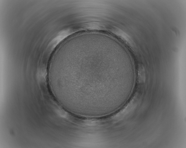 X0000113601065200910091516