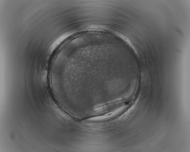 X0000113601066200910091516