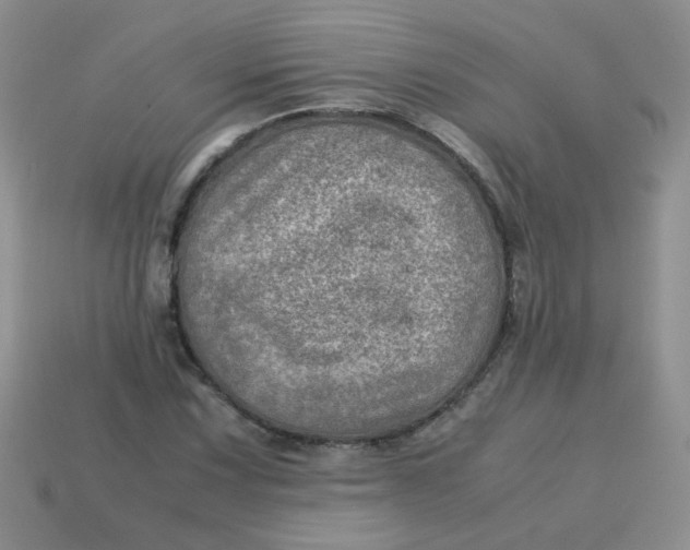 X0000113601067200910091516