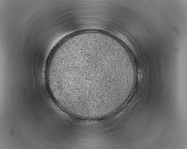 X0000113601068200910091516