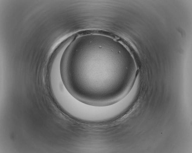 X0000113601069200910091516