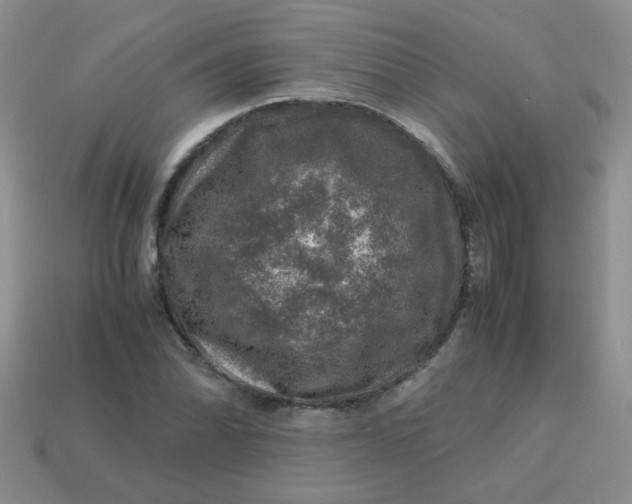 X0000113601070200910091516