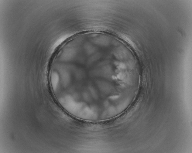 X0000113601071200910091516