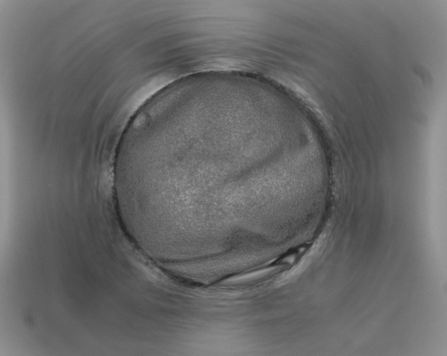 X0000113601073200910091516