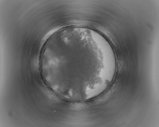 X0000113601074200910091516