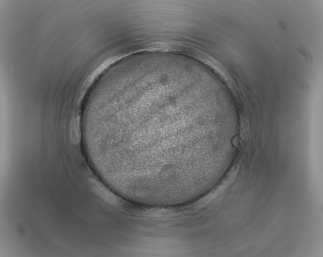 X0000113601075200910091516