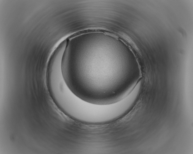 X0000113601076200910091516