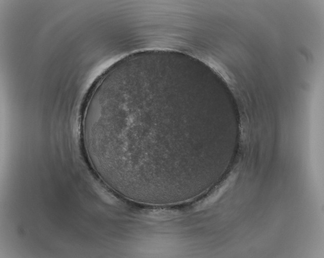 X0000113601077200910091516