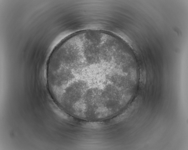 X0000113601078200910091516