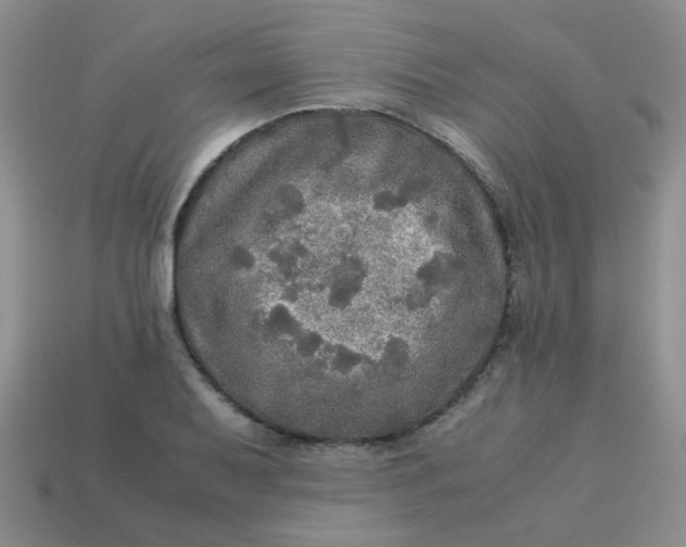 X0000113601079200910091516