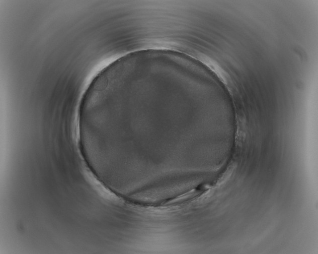 X0000113601080200910091516