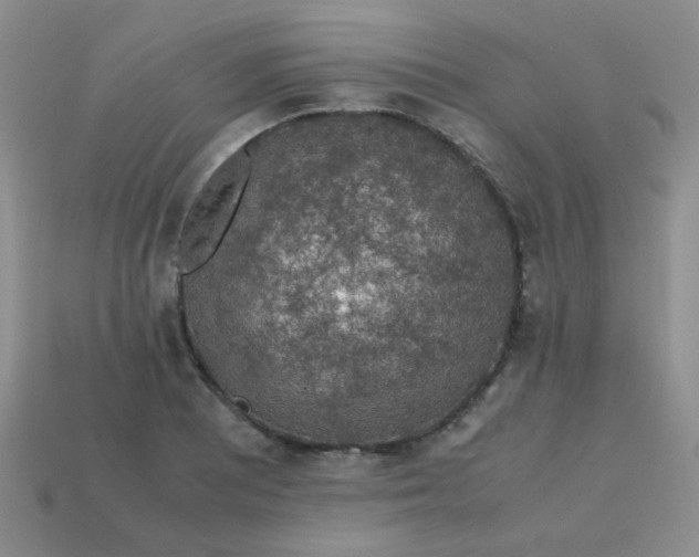 X0000113601081200910091516