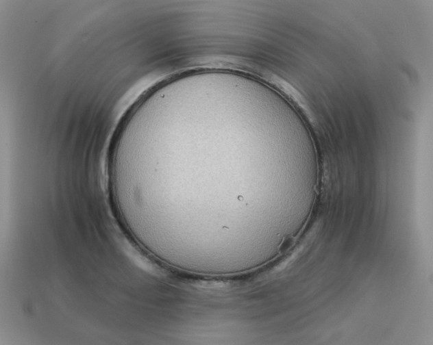 X0000113601082200910091516